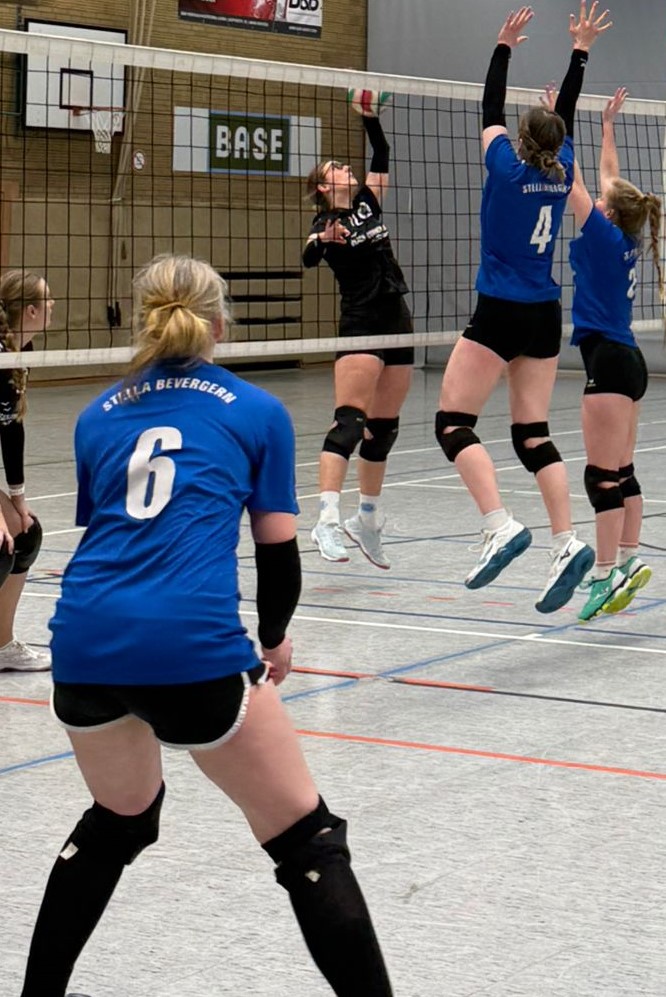 WhatsApp Image 2026-03-25 at 20.46.09