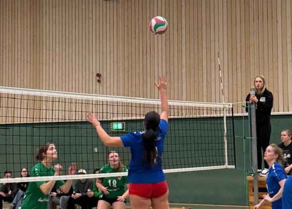 WhatsApp Image 2026-03-26 at 10.17.50